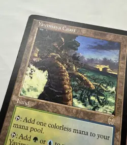 Yavimaya Coast x1 MTG Apocalypse 1x Magic Good Heavy Play HP - Image 2