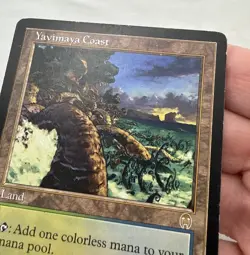 Yavimaya Coast x1 MTG Apocalypse 1x Magic Good Heavy Play HP - Image 3