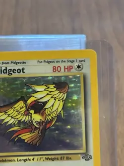 Pokemon Pidgeot 8/64 Jungle 1st Edition Holo Rare 1999 - Image 5
