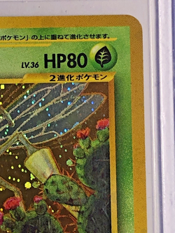 Beedrill #15 スヒアー Japanese Crossing the Ruins - Pokemon TCG - Holo Rare LP/NM - Image 3
