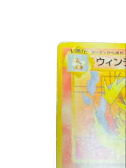 Pokemon Card Japanese [Old Back] Windy Intro Pack No.059 condition M So - Image 2