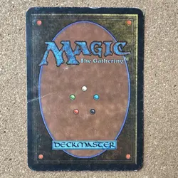 Forest, Alpha Edition, Land, Regular, Magic the Gathering, Christopher Rush - Image 2