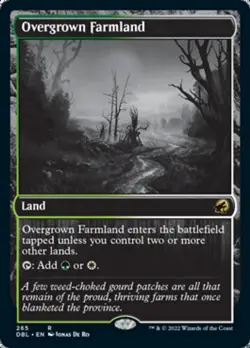 Magic the Gathering (mtg): DBL: Overgrown Farmland - Rare - Foil - Image 1