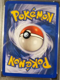 Psa 9 Squirtle 131/165 + Psa 8 Mewtwo 56/165 2002 Pokemon Expedition Slabs - Image 4