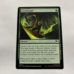 MTG Teenage Mutant Ninja Turtles #0113 Cowabunga! - Image 1