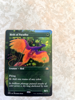 Birds of Paradise (Borderless) - 439 - Dominaria Remastered - NM - Normal - Image 1