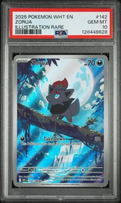 2025 POKEMON WHT EN-WHITE FLARE ILLUSTRATION RARE #142 ZORUA PSA 10 - Image 1