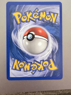 Ursaring 110/144 Skyridge Common Regular Pokemon TCG English - Image 2