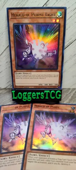 Yu-Gi-Oh! Herald of Purple Light x3 / BLMM EN101 1st Edition NM - Image 1