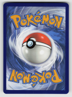 Zeraora V Pokemon SWSH263 Black Star Promo NM - Image 2