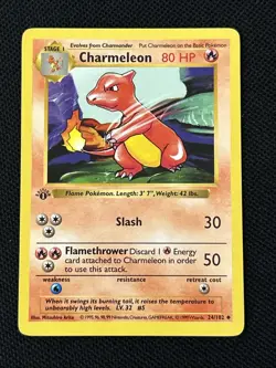 Pokemon Charmeleon 024/102 Base Set (Shadowless) (Never Played) *Near Mint* - Image 1