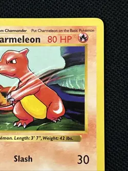 Pokemon Charmeleon 024/102 Base Set (Shadowless) (Never Played) *Near Mint* - Image 4
