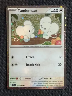 Tandemaus~ Culinary Corner Gallery ~ Cute Foodie Pokemon - Image 1