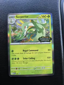 Serperior - MEP 064 Pokemon TCG Perfect Order Pre Release Promo - NM - Image 1