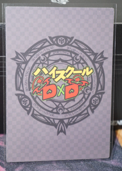 Akeno Himejima Sleepwear High School DxD Sexy Waifu Custom Card - Image 2