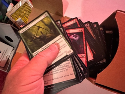 Magic the Gathering 250 Bulk Commons/Uncommons - 50 of each color! - Image 2