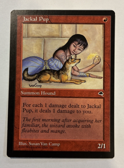 Jackal Pup - LP - Tempest Magic the Gathering TMP #183 - 1997 - Image 1
