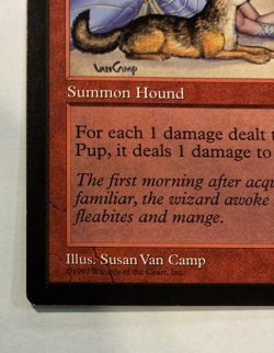 Jackal Pup - LP - Tempest Magic the Gathering TMP #183 - 1997 - Image 2