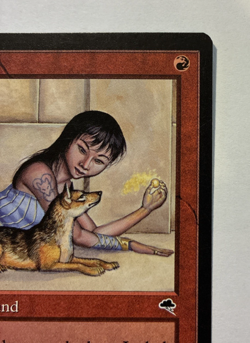 Jackal Pup - LP - Tempest Magic the Gathering TMP #183 - 1997 - Image 4