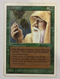 Ley Druid Unlimited Edition (2ED) Magic the Gathering 1993 Uncommon MP - Image 1