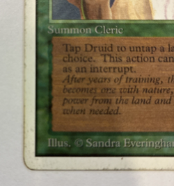 Ley Druid Unlimited Edition (2ED) Magic the Gathering 1993 Uncommon MP - Image 2