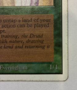 Ley Druid Unlimited Edition (2ED) Magic the Gathering 1993 Uncommon MP - Image 3