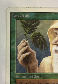 Ley Druid Unlimited Edition (2ED) Magic the Gathering 1993 Uncommon MP - Image 5