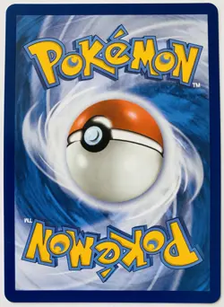Pokemon First Partner Illustration Collection Kanto Gen 1 Starter Set NM Promo - Image 3