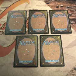 MTG TMNT Plains Lot Of 5! #0191 Full Art Land! - Image 5