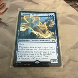 MTG Enduring Curiosity Duskmourn: House of Horror Regular #0051 - Image 1