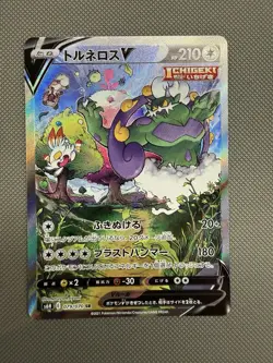 Tornadus V SR Special Art 079/070 S6H Silver Lance Japanese Pokemon Card - Image 1