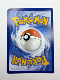 Pokemon TCG NM Lechonk 207/091 SV: Paldean Fates Shiny Holo 2024 - Image 3