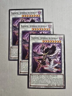 3x Blackwing - Silverwind the Ascendant 1st Edition Common L5DD-ENC29 Yu-Gi-Oh! - Image 1