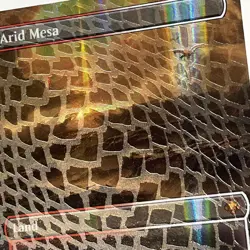 Arid Mesa (Borderless) (Dragonscale Foil) Special Guests Foil NM MTG Magic - Image 5