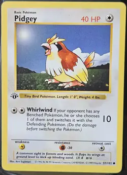Pokemon Pidgey WoTC Base Set 1st Edition Shadowless 57/102 Wizards 1999 LP+ - Image 1