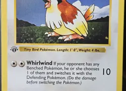 Pokemon Pidgey WoTC Base Set 1st Edition Shadowless 57/102 Wizards 1999 LP+ - Image 3
