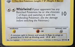 Pokemon Pidgey WoTC Base Set 1st Edition Shadowless 57/102 Wizards 1999 LP+ - Image 4