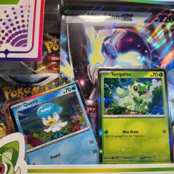 Pokemon TCG Sprigatito Paldea Collection Unopened Box - Image 2