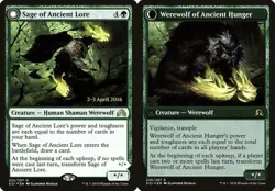 Sage of Ancient Lore // Werewolf of Ancient Hunger Shadows over Innistrad MP MTG - Image 1