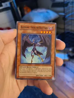 Yugioh Blackwing - Shura the Black Flame RGBT-EN011 Common - Image 1