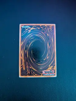 Yu-Gi-Oh Dark Paladin Limited Edition Holo DMG-001 - Image 3