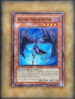 Yugioh Blackwing - Shura the Blue Flame RGBT-EN011 Common 1st Ed NM - Image 1