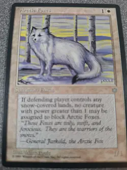 Magic the Gathering 2 card LOT g50-Arctic Foxes-Battle Cry - Image 1