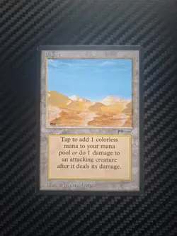 MTG Arabian Nights 🌙 Desert (Campfire Variant) LP-NM 1993 - Image 1