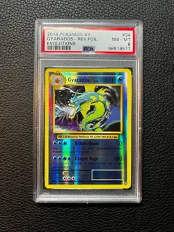 PSA 8 Pokemon 2016 Pokemon XY Evolutions Gyarados Reverse Holo 34/108 - Image 1
