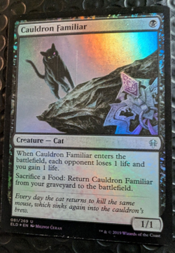 Cauldron Familiar Throne of Eldraine Foil - Image 1