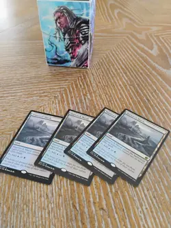 Shipwreck Marsh - Innistrad: Midnight Hunt (MID) - Image 2