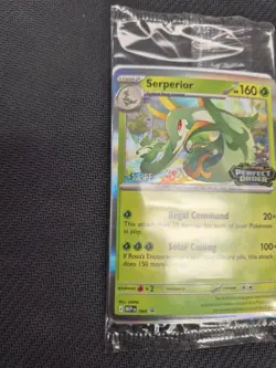 Pokemon TCG Perfect Order Staff Promos Sealed Set of 4 New - Image 4