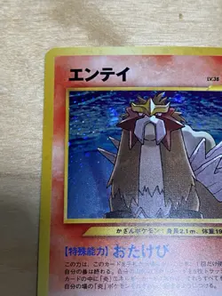 Entei Pokemon Japanese Entei No.244 Neo 3 2000 Vintage Holo NM - Image 5