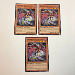 (3) YuGiOh! BLACKWING - DECAY THE ILL WIND: SHV1-EN017 COMMON 1st Edition NM/LP - Image 1